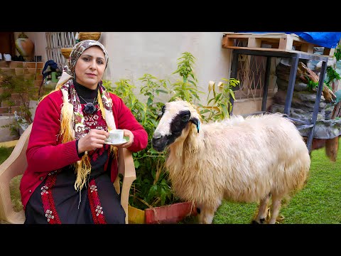 Видео: Вкусное барбекю, благотворительность! Легкий и вкусный рецепт