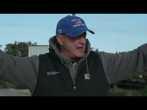 Видео: Кормушка для скота «Президент Трамп разрушил рынок» — разбираем американские горки по говядине