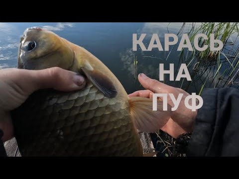 Видео: УПЁРСЯ ДО КОНЦА // КАРАСЬ В МАЕ НА ПУФ. ФЛЭТ 2025...