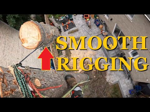 Видео: Методы арбориста: негативное такелажное оборудование