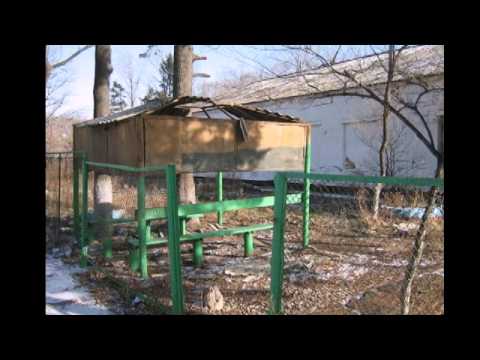 Видео: путешествие по воздвиженке