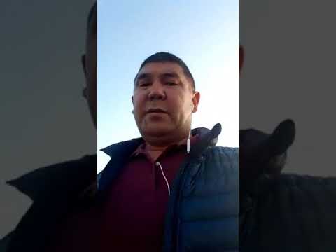 Видео: Шу. Ағайындар, Ағалар-Апалар қашанғы  отырасыңдар?! Бағдат Құрмантай.