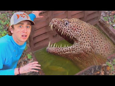 Видео: Я спустился в канализацию и наткнулся на монстров!