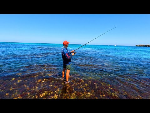 Видео: Рыбалка в Квинане, Рокингеме и Пойнт-Перон – провал в Западной Австралии!