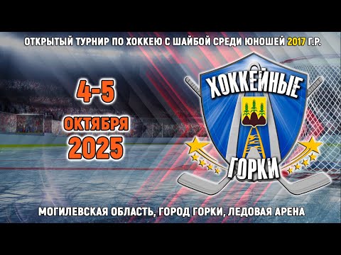 Видео: 4.10.2025. ХГ. 2017. ПП. Гомель – Химик-черные