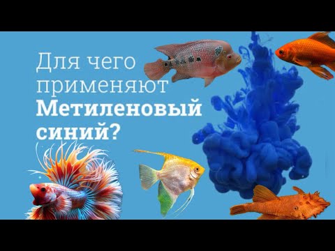 Видео: Метеленивый синий и когда его применять  в аквариуме ? 