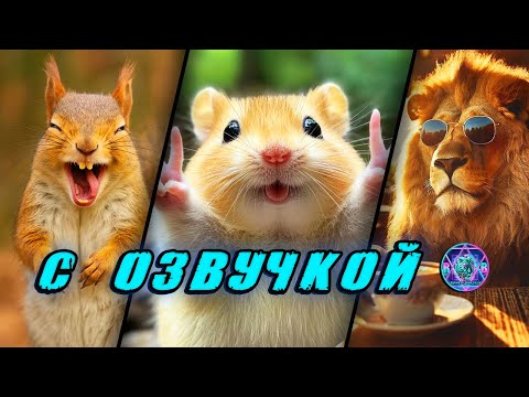 Видео: 😎 ПРИКОЛЫ с котами! С ОЗВУЧКОЙ! 🥰 СМЕШНЫЕ КОТЫ! ☺️ Самые смешные животные! 😳 СМЕХ до слез! 😹 2025
