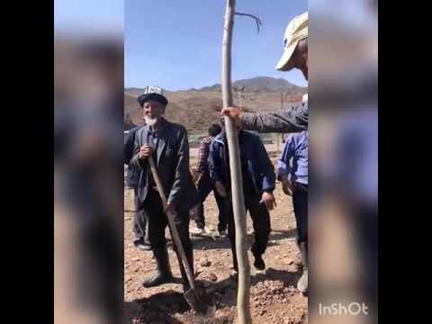 Видео: Сумсар айылы