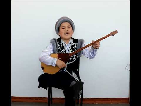 Видео: Солтүстік Қазақстан облысы, Ақжар ауданы, Талшық селосы.