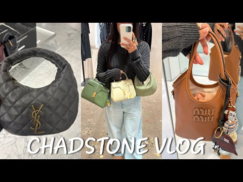 Видео: VLOG о роскошном шопинге | Saint Laurent Icarino, Celine Teen Lulu, FENDI Mamma Baguette и другие!