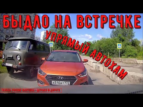 Видео: Быдло на встречке #194! Подборка на видеорегистратор!