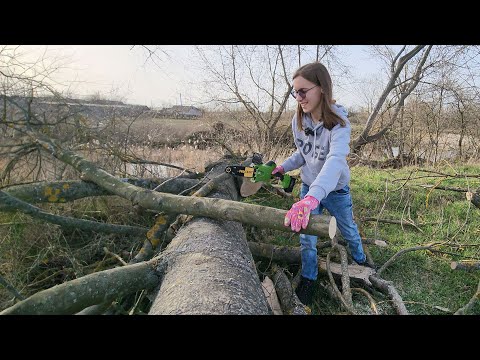 Видео: Пила для маленької дівчинки 😍 Як зібрати ланцюгову пилку Procraft PKA20 та перший тест