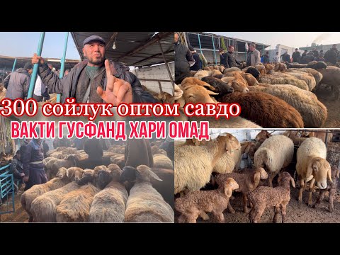 Видео: Гусфандхо оптом савдо успед кунед харед 🇹🇯