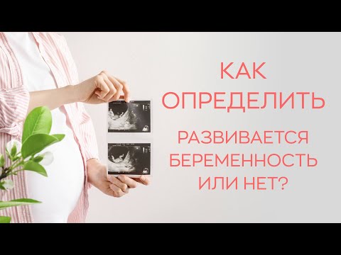 Видео: 🔎 Как определить, развивается беременность или нет?