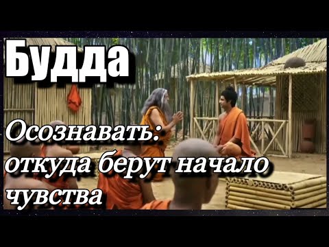 Видео: 13 Моё мировоззрение основано на моем опыте. #Будда #просветление #самопознание #осознанность