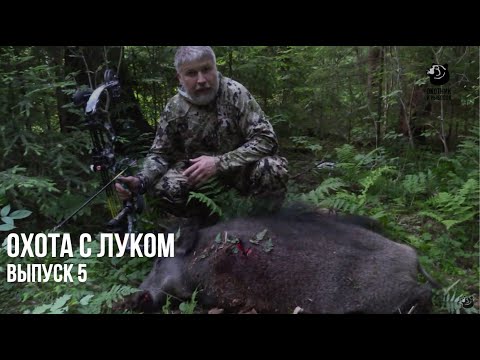 Видео: Охота на кабана с лабаза. Лето. // Охота с луком