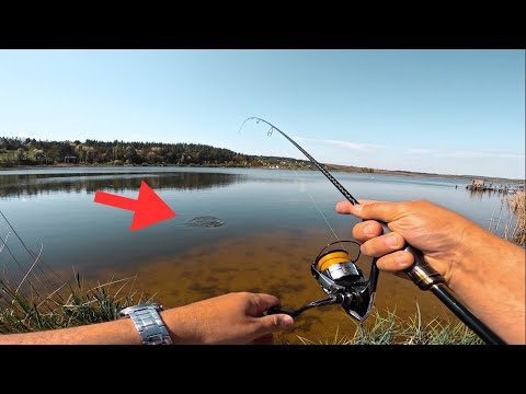 Видео: 50+ ЩУК ЗА РИБОЛОВЛЮ 🤯 Shimano Soare XTune S76ULT 🚀