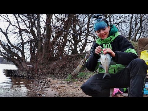 Видео: ОДНА НА РЫБАЛКЕ... Лещ КЛЮЁТ на фидер! #165