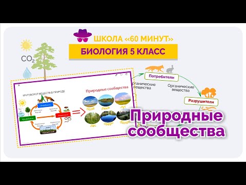 Видео: Природные сообщества. Урок Биологии 5 класса