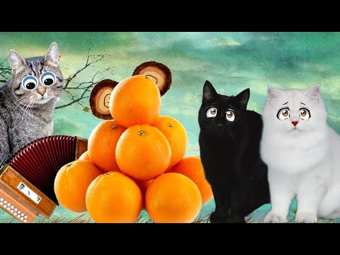 Видео: МУЛЬТЯШКИ в БЕДЕ!!! Кошки Спешат на ПОМОЩЬ!!!