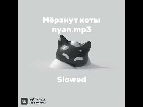Видео: Мёрзнут коты - nyan.mp3 (Slowed)