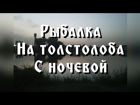 Видео: Рыбалка на толстолоба у Кубы.