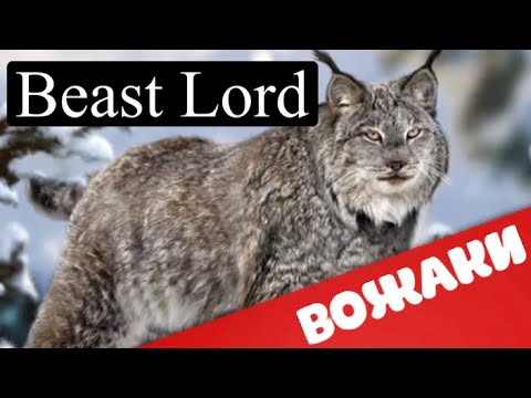 Видео: Beast Lord. The new land. Какими вожаками играть? Универсальные