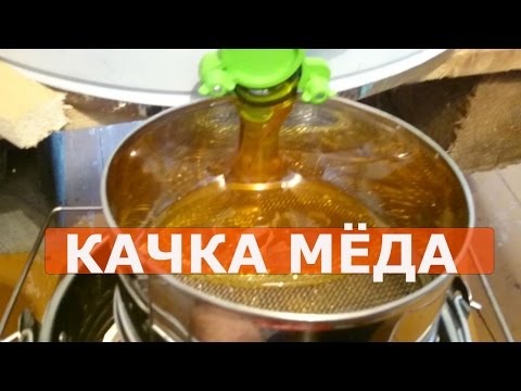 Видео: ОТКАЧКА МЁДА/как качаю мёд