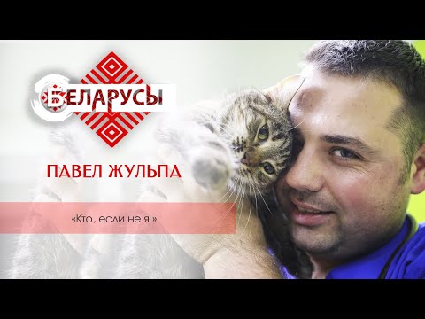 Видео: Как спасти животное, которое лишилось лапок? Ветеринар о волшебном спасении четвероногих друзей