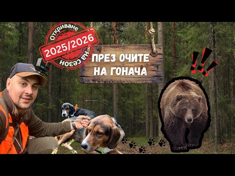 Видео: Групов ЛОВ на ДИВИ ПРАСЕТА! ПРЕЗ ОЧИТЕ НА ГОНАЧА ЕП.6