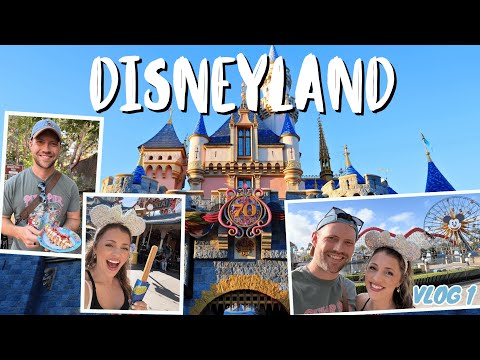 Видео: Видеоблог о Диснейленде! День путешествий, утро приключений в Калифорнии, вечер в Диснейленде!