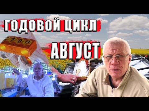 Видео: Годовой цикл ухода за пчелами Работы пчеловода на пасеке в августе