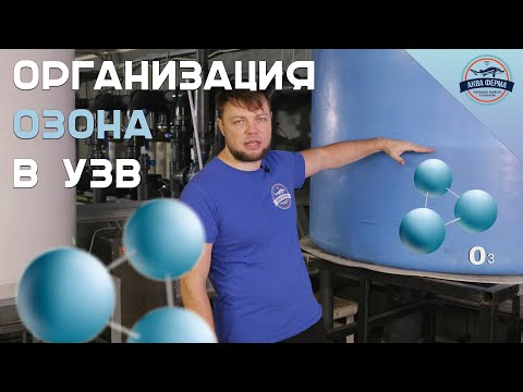 Видео: Организация Озона в УЗВ
