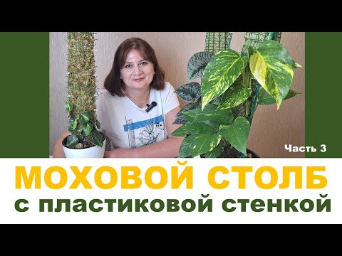 Видео: МОХОВАЯ ОПОРА (ТОТЕМ). Часть 3. Изготовление мохового столба с пластиковой основой