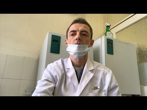 Видео: Кейс: Yersinia enterocolitica (иерсиния) в охлажденном мясе. Выделение на средах в лаборатории