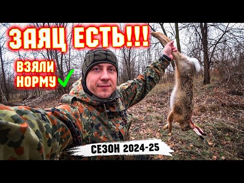 Видео: ОХОТА НА ЗАЙЦА. Такой вот ЧЕРНОТРОП! Hare hunting.#охотаназайцапочернотропу #охотаназайца