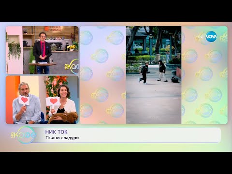 Видео: НИК ТОК: Най-любопитното от социалните мрежи - „На кафе“ (28.05.2025)