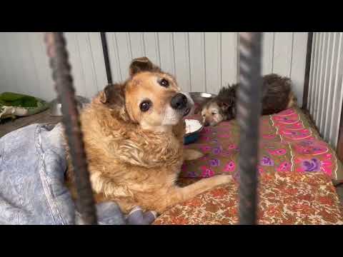 Видео: 19 апреля 2025 г.