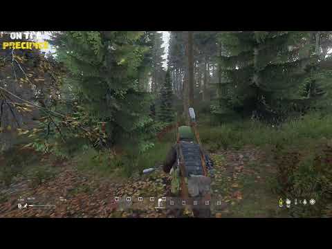 Видео: БУДНІ DAYZ