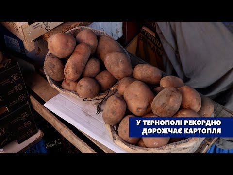 Видео: У Тернополі рекордно дорожчає картопля