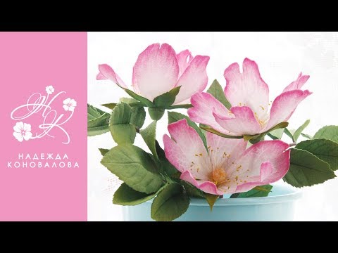 Видео: Цветы шиповника из фоамирана