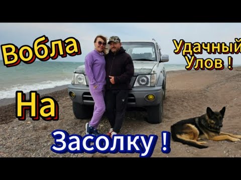 Видео: Ночной Улов на Капчагае!