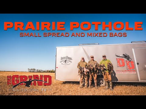 Видео: Прерийное ущелье — небольшое разбросанное и смешанное охотничье угодье! Убойная водоплавающая дич...