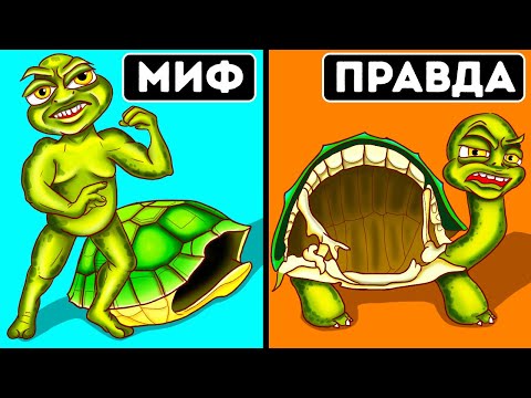 Видео: Вы слышали это всю жизнь, но это миф