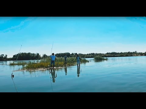 Видео: БРАКАШИ на реке ИЛЕ Разборки, унижения, оскорбления. Богатая, приятная рыбалка с 100% КАЙФом 50×5О.