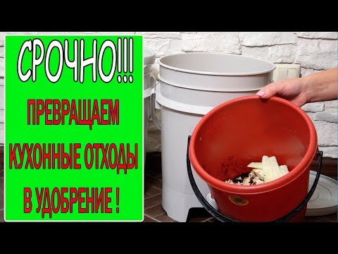 Видео: ДВА СУПЕР УДОБРЕНИЯ ИЗ КУХОННЫХ ОТХОДОВ!ПРЕВРАТИТЕ ОТХОДЫ В ДОХОДЫ!!!