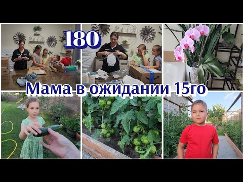 Видео: РАСПАКОВКА ПОСЫЛОК●КАК ДЕЛА В ОГОРОДЕ●КАК ПОЛИВАЮ ОРХИДЕИ#●180