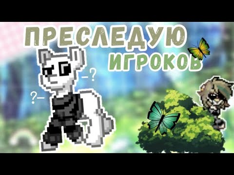 Видео: //🕸️ПРИСЛЕДУЮ ИГРОКОВ В PONY TOWN 🎃\\ #andy  #ponytown