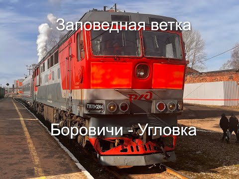 Видео: ЗАПОВЕДНАЯ ВЕТКА БОРОВИЧИ - УГЛОВКА