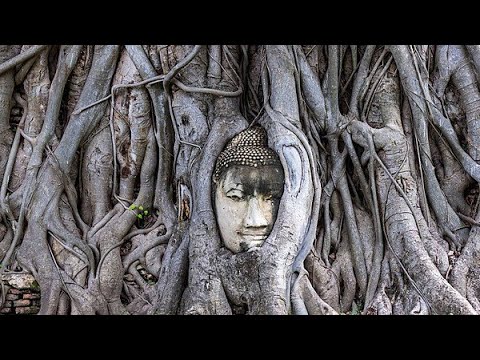 Видео: Эфир от 28.11.2025. Пратитья Самутпада. Часть 2